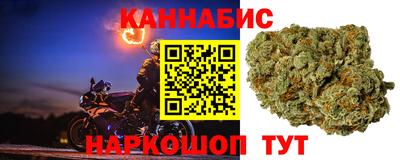 стафф Берёзовский